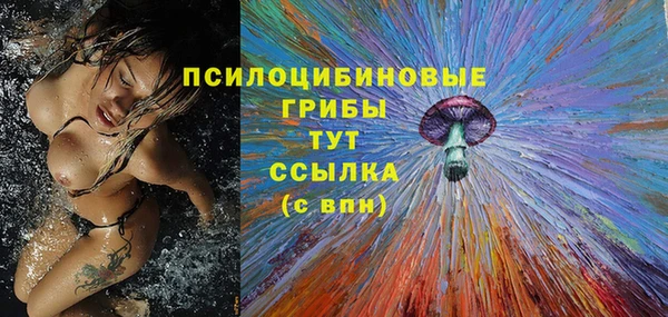 мдпв Няндома