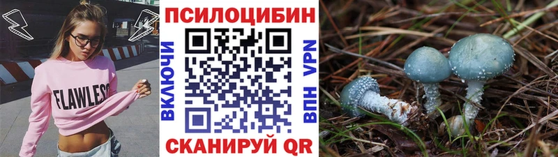 Галлюциногенные грибы GOLDEN TEACHER  Нязепетровск 